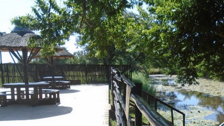 1. Lazy RBP 4 768x432