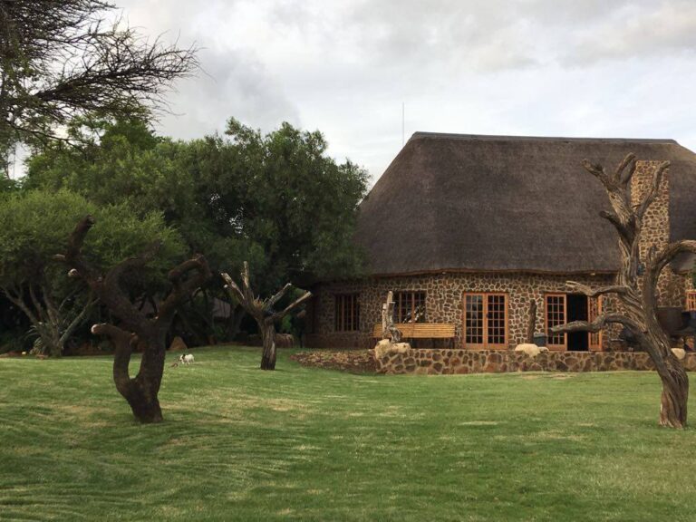 63 On Nyala featured photo 768x576