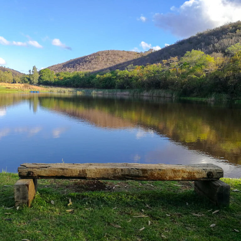 Bass Lake Exclusive Camping featured photo 768x768