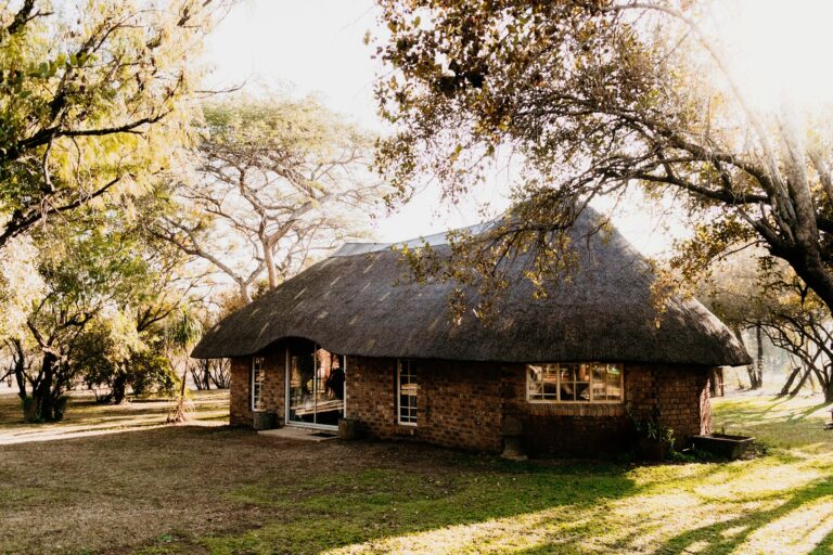 Bushbabies Bushveld Lodge featured photo 768x512