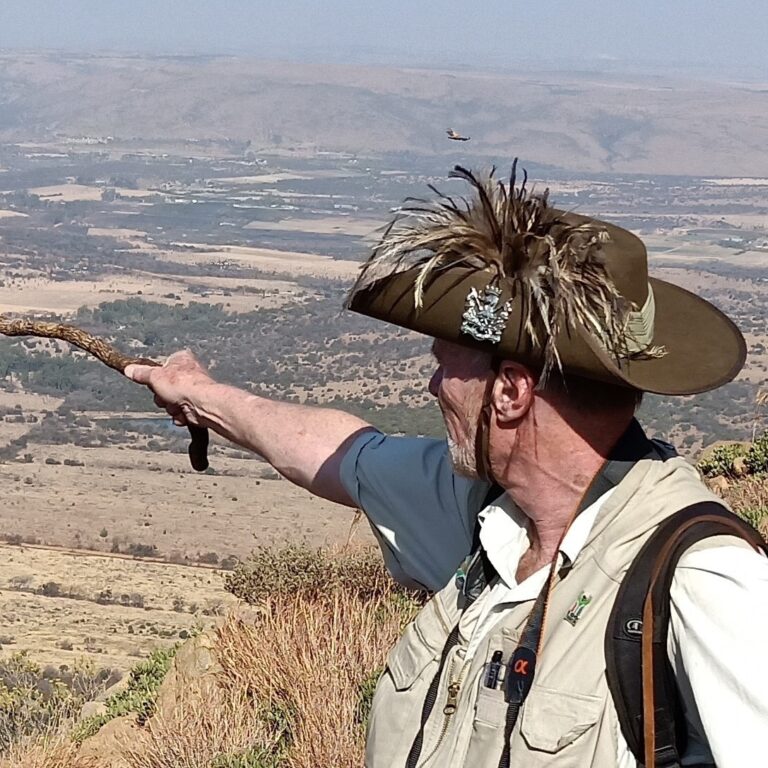 Diamond Hill Battlefield featured photos 768x768