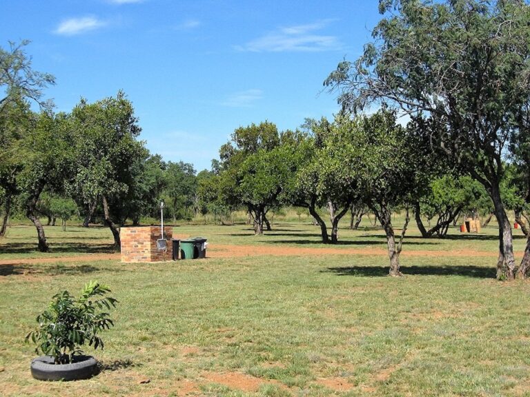 Die Voortrekker Plaas 768x576