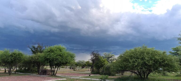 Dinokeng Camp Leisure Lodge featured photo 768x346