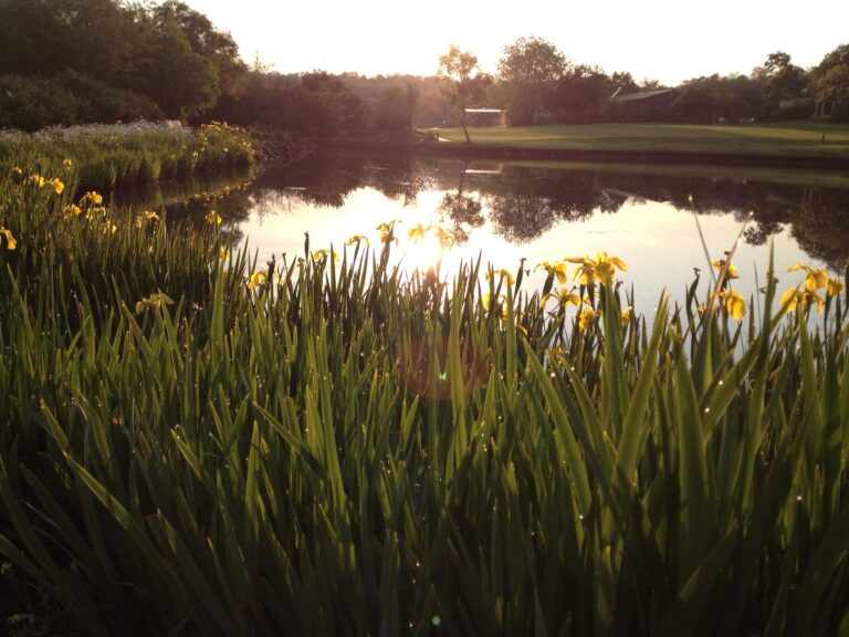 Goodlands Estate featured photo 768x576