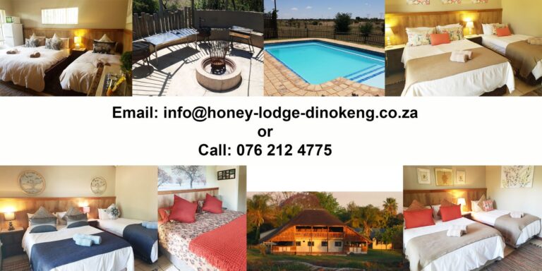 Honey Lodge featured photo 768x384