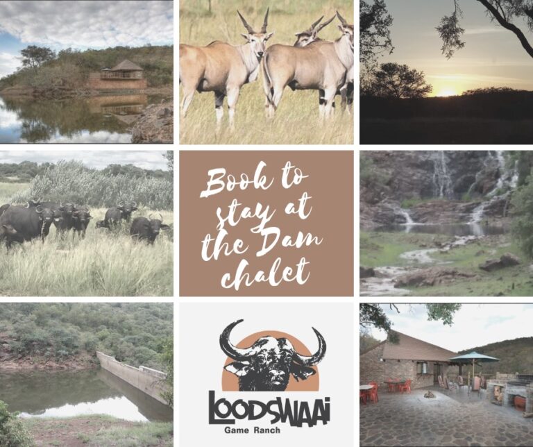 Loodswaai Game Ranch featured photo 768x644