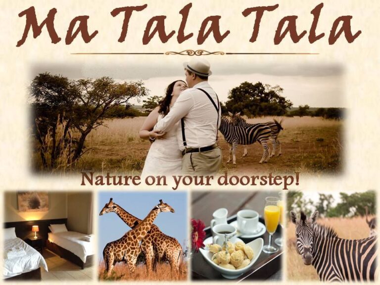 Ma Tala Tala Wildlife Lodge featured photo 768x576