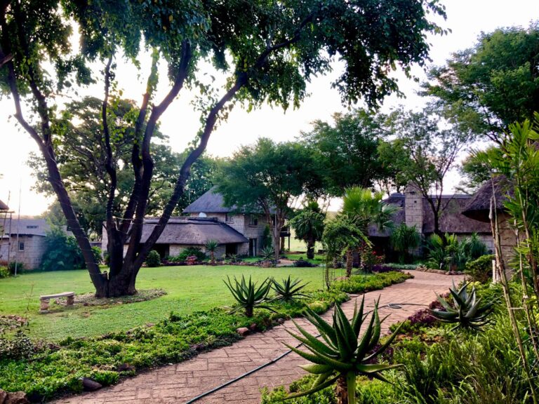 Madidaba Game Lodge featured photo 768x576