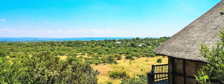Monateng Safari Lodge featured photo 768x288