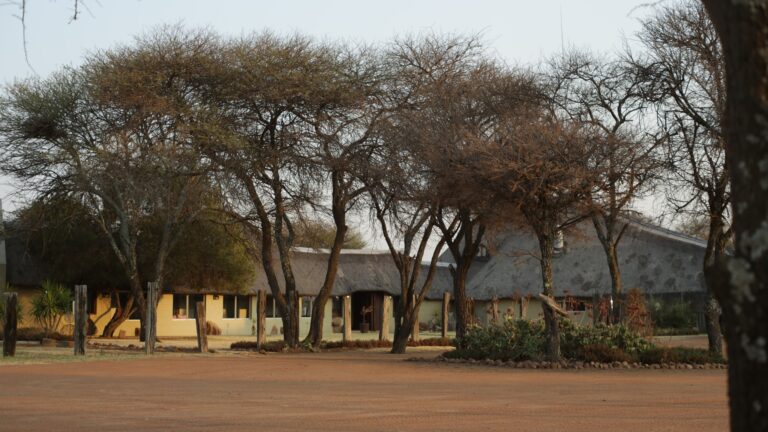 Morekuri Safaris Lodge featured photo 768x432