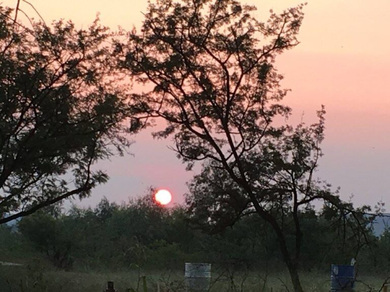 Premier Shooting Club featured photo 768x576