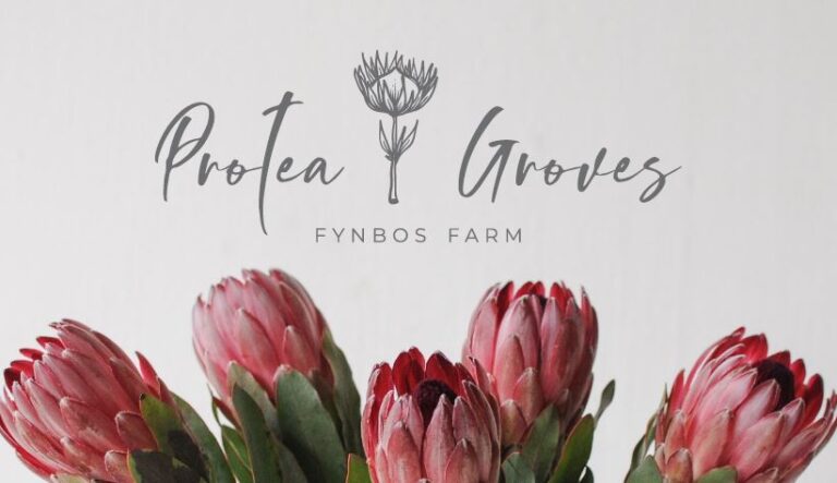 Protea Groves Featured photo 768x443