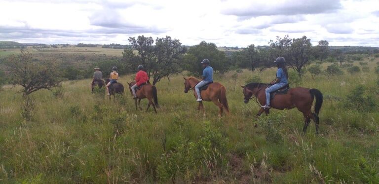 Rocky Ridge Horse Trails featured photo 768x373