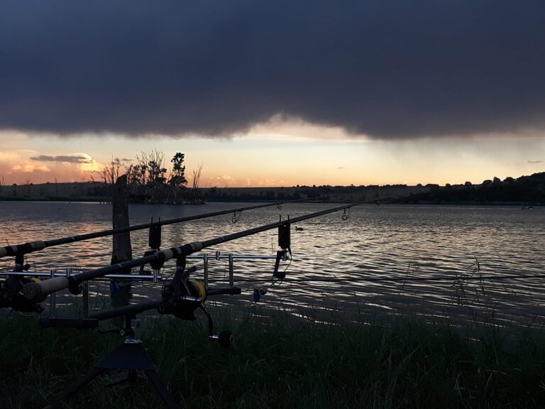 Roodeplaat Dam Angling Grounds feature photo 768x576