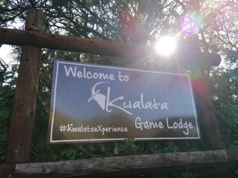 Travel Diaries 4 Kwalata WhatsApp Image 2020 12 11 at 11.05.46 AM 768x576