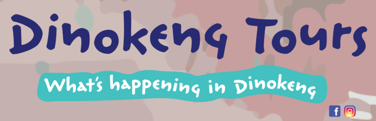 dinokeng tours logo invoice Plan de travail 1 768x248