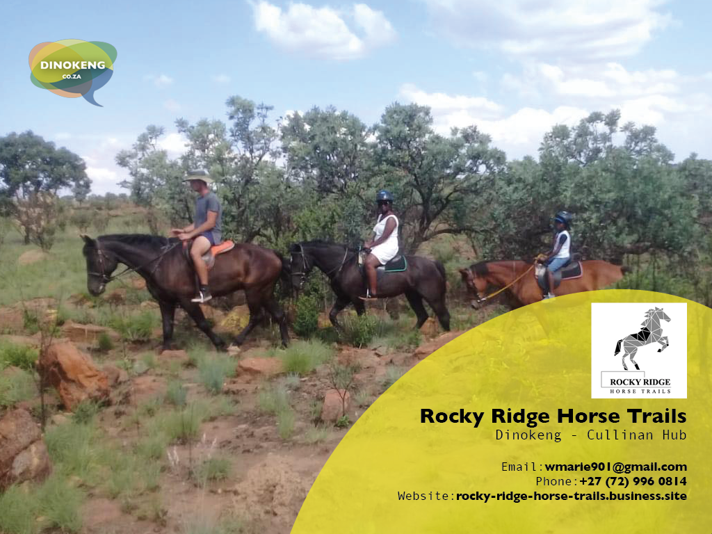 Dinokeng_Co_Za_Slides10