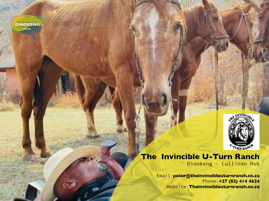 Dinokeng_Co_Za_Slides11