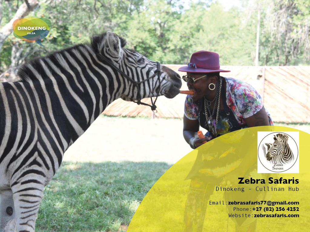 Dinokeng_Co_Za_Slides14