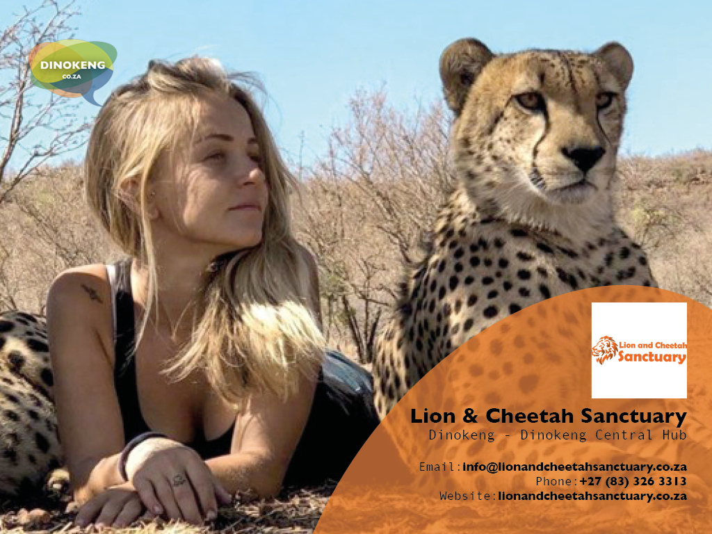 Dinokeng_Co_Za_Slides21