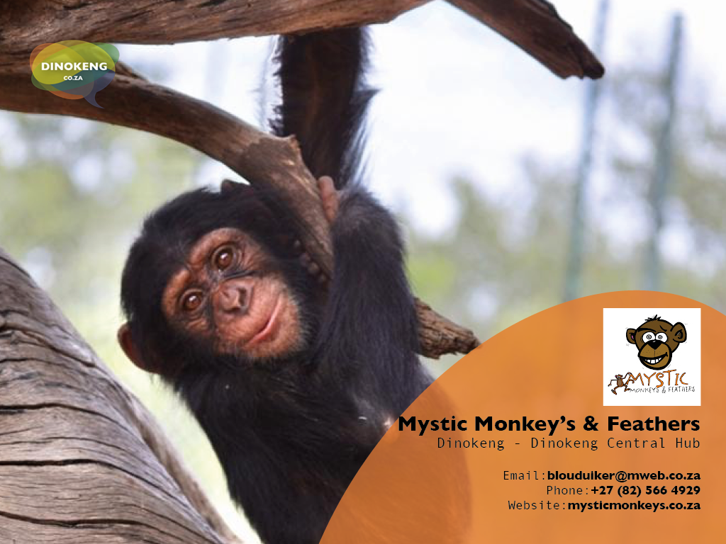 Dinokeng_Co_Za_Slides23