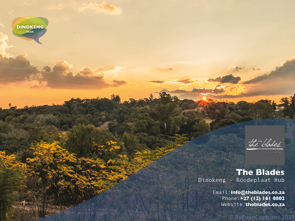 Dinokeng_Co_Za_Slides32