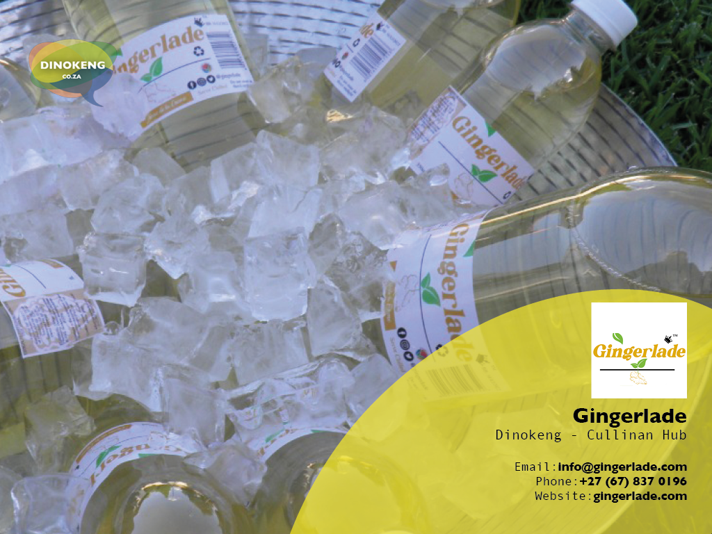 Dinokeng_Co_Za_Slides6